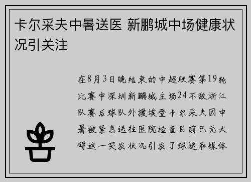 卡尔采夫中暑送医 新鹏城中场健康状况引关注