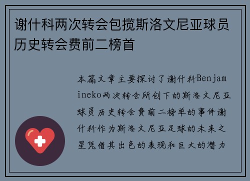 谢什科两次转会包揽斯洛文尼亚球员历史转会费前二榜首